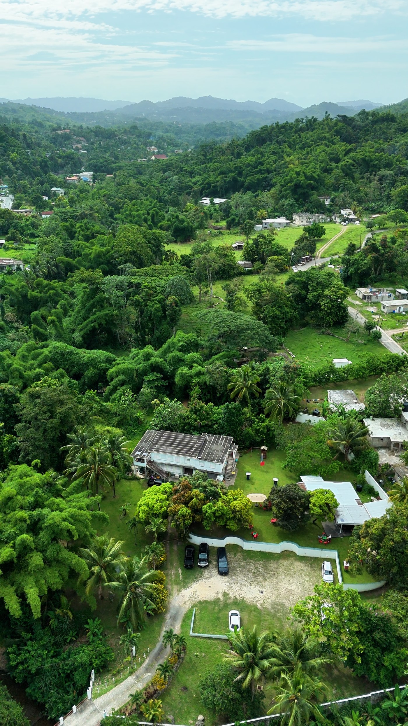 Green hills and houses above Kingston, seen from the air